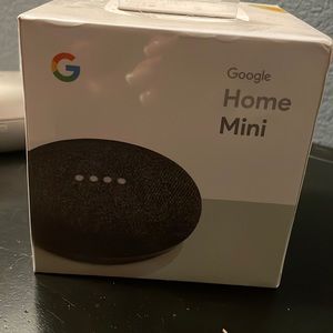 Google Home Mini Last one